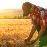 Farmer over looking the success of his crops