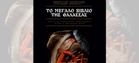 vivlos_thalassinon