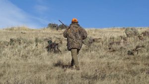hunting-Pixabay-620x350