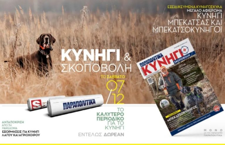 kinigi-skopovoli-parapolitika-7-12-2024