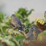 thumbnail-3-1536x954