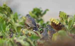 thumbnail-3-1536x954