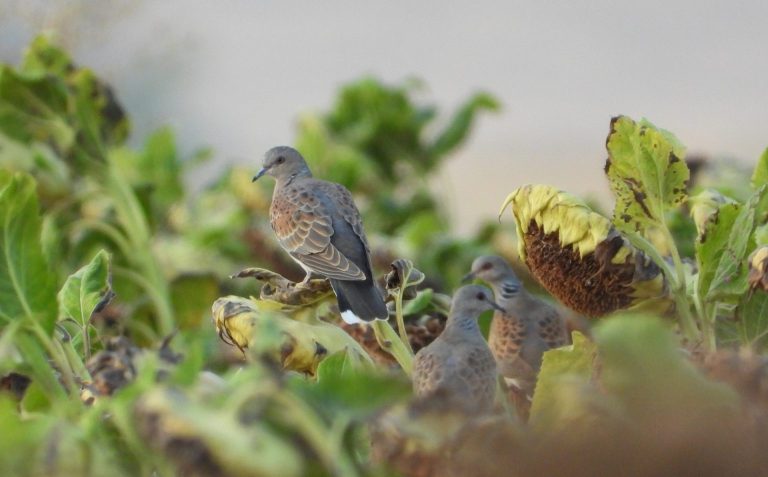 thumbnail-3-1536x954