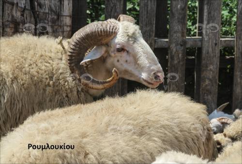 598355354_1566911901013610_5627841180919479221_n