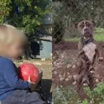 9b5e8984cd50a10c5144f47d94d1a682_XL