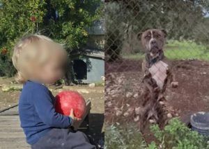 9b5e8984cd50a10c5144f47d94d1a682_XL