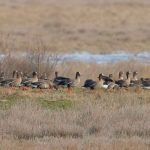 634157337_1357409446416635_2866885080710717202_n-e1771234741793-696x488