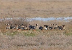 634157337_1357409446416635_2866885080710717202_n-e1771234741793-696x488