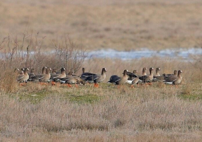 634157337_1357409446416635_2866885080710717202_n-e1771234741793-696x488