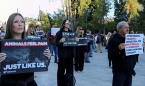 790b35e76089d4672f926b63000ed5ab_XL